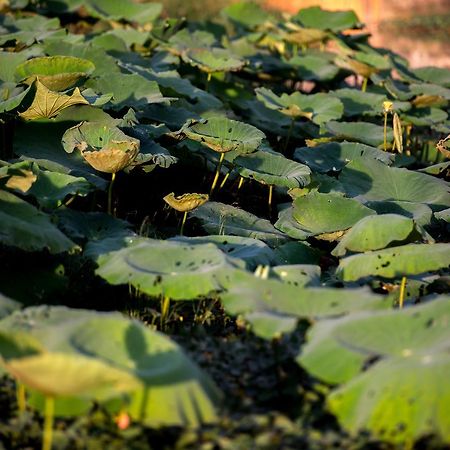 Daroth Angkor Boutique Hotel Siem Reap Buitenkant foto