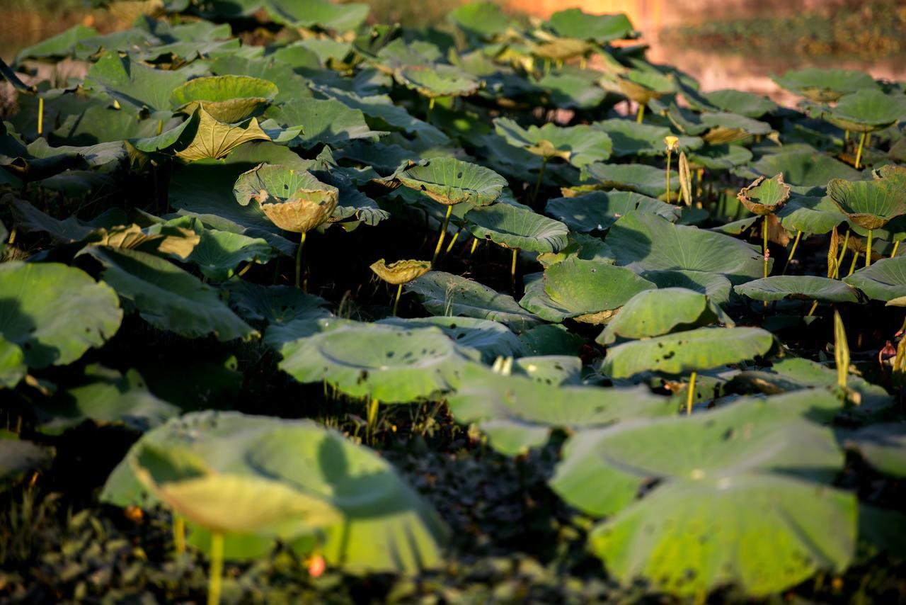 Daroth Angkor Boutique Hotel Siem Reap Buitenkant foto