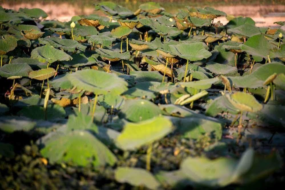 Daroth Angkor Boutique Hotel Siem Reap Buitenkant foto